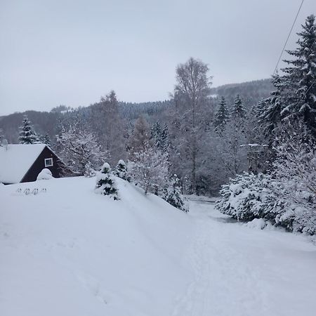 Hygge Chaloupka V Horach Villa Český Jiřetín Eksteriør billede