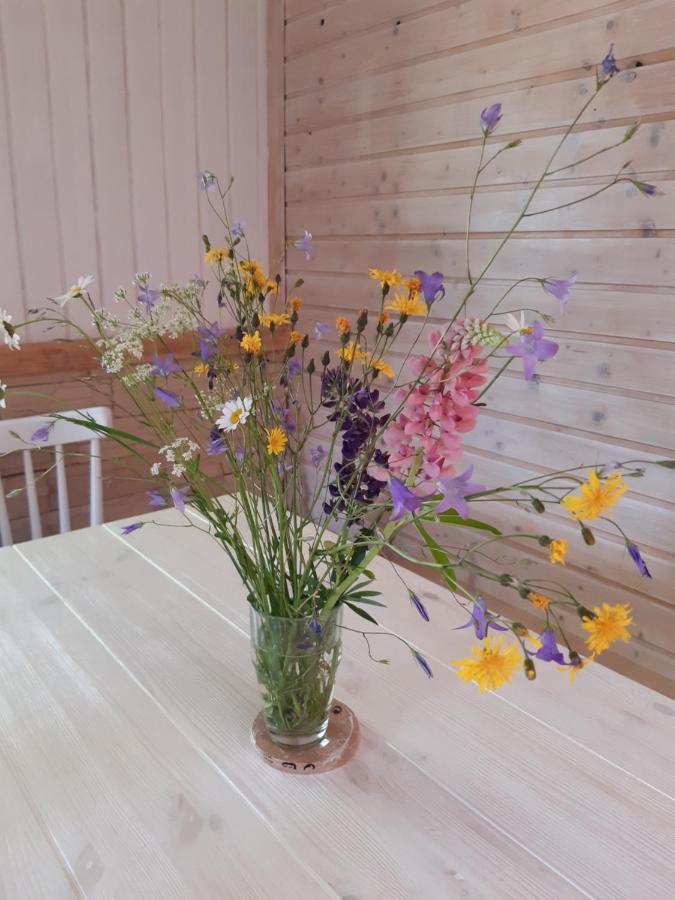 Hygge Chaloupka V Horach Villa Český Jiřetín Eksteriør billede