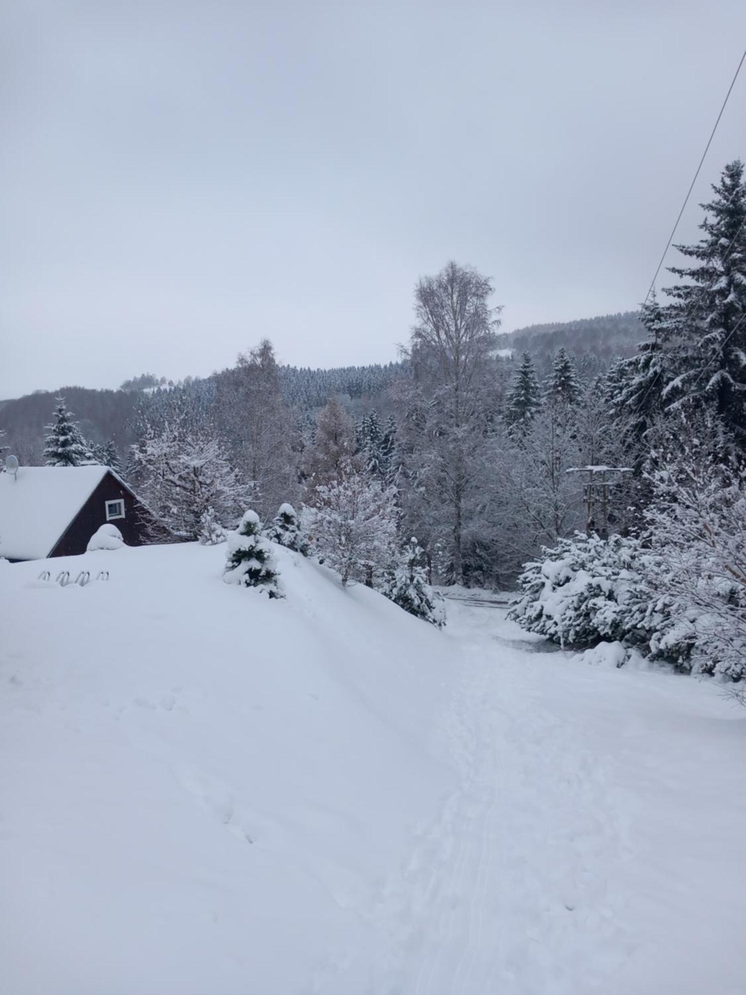 Hygge Chaloupka V Horach Villa Český Jiřetín Eksteriør billede